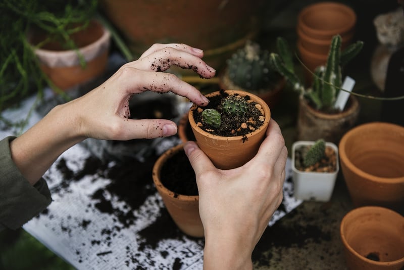 Tin Can Planters